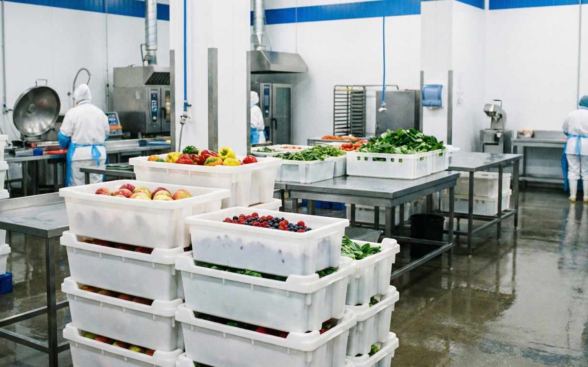 Bins de Plástico en la Industria Alimenticia: Normativas y Mejores Prácticas